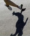 Runner legs and shadow